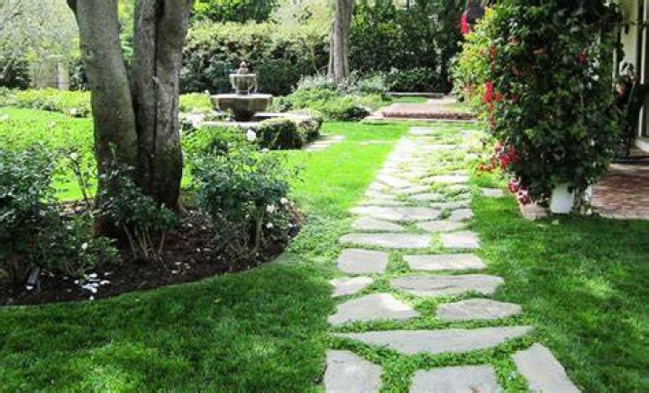 How do you stop moss from growing between pavers?