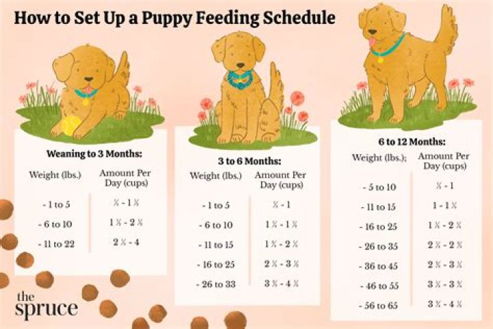 How do you tell if it's too early to potty train?