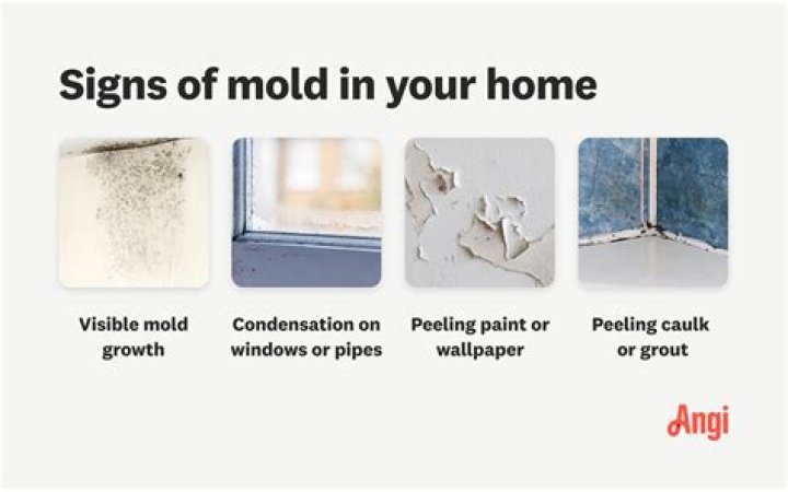 How do you tell if there is mold in your Keurig?