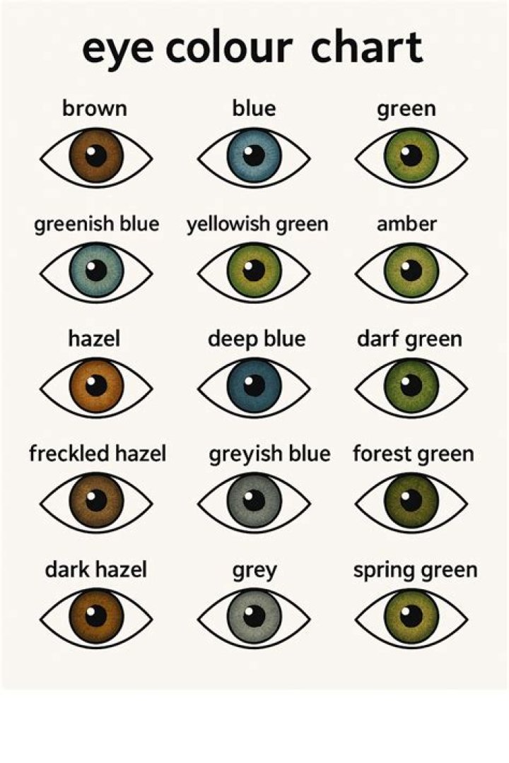 How do you tell what color a puppy's eyes will be?