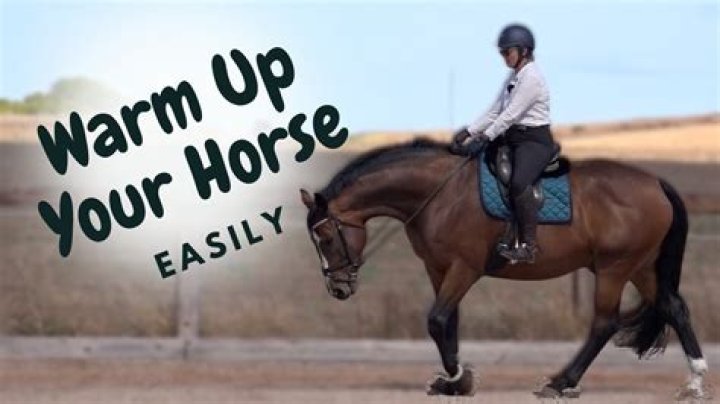 How do you warm up a shivering horse?