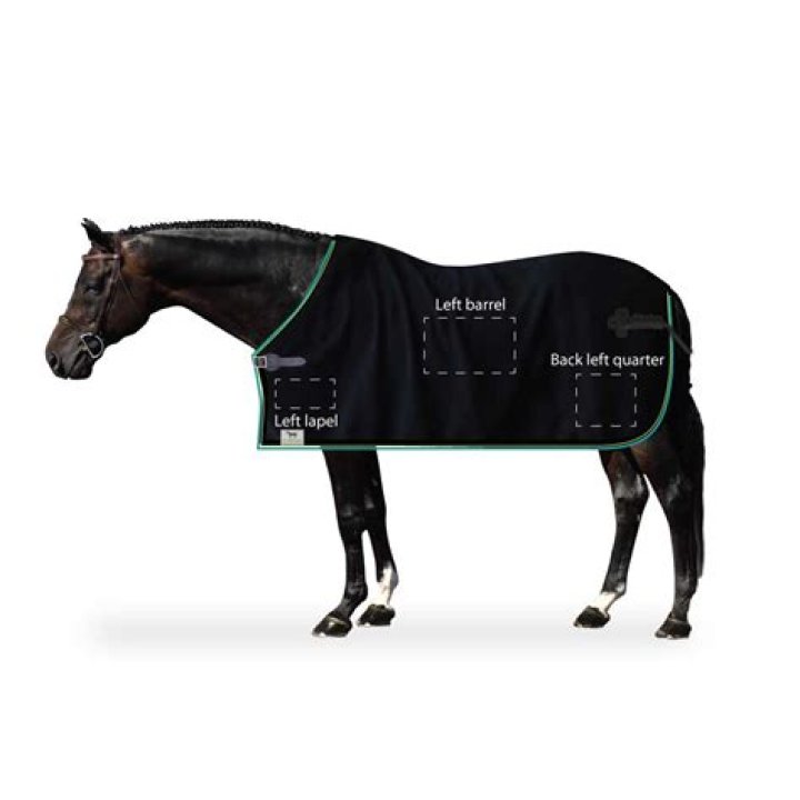 How do you wash a wool horse blanket?