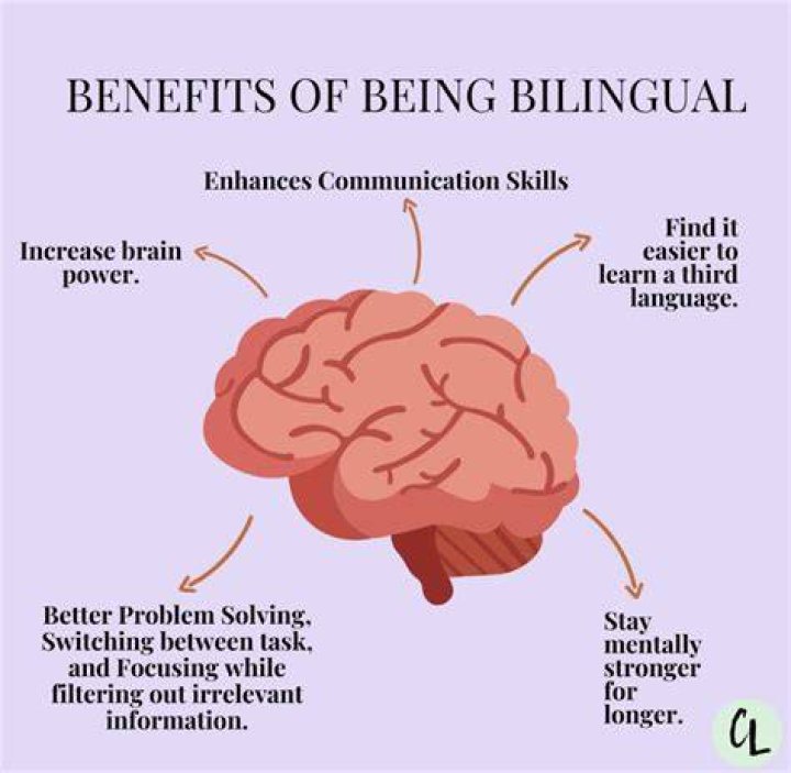 How does being bilingual help the brain?