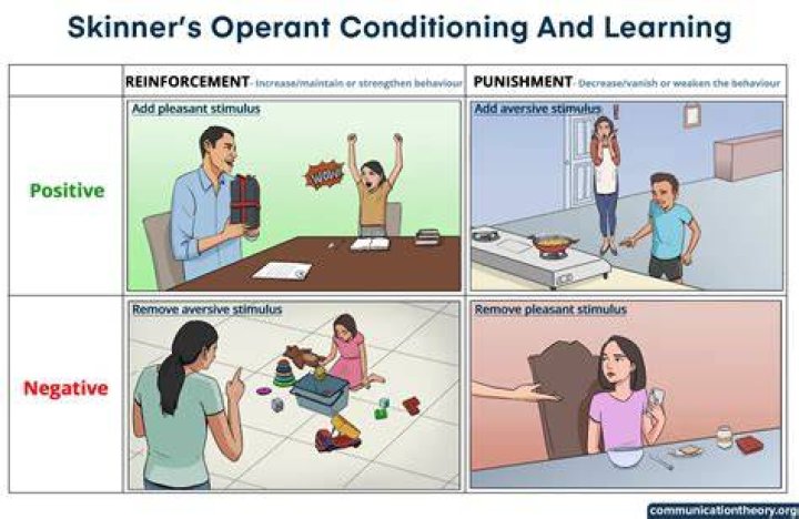 How does BF Skinner recommend interacting with or teaching children?