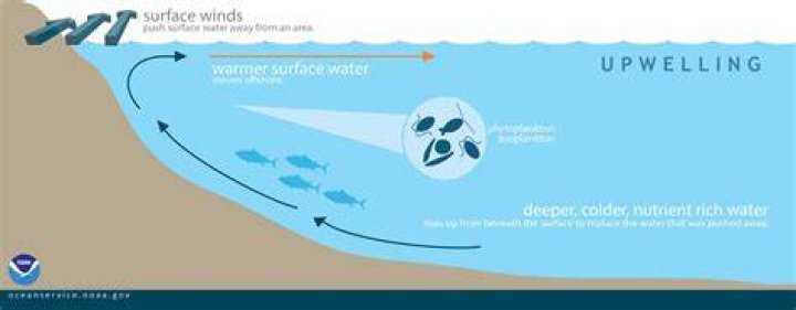 How does downwelling occur?