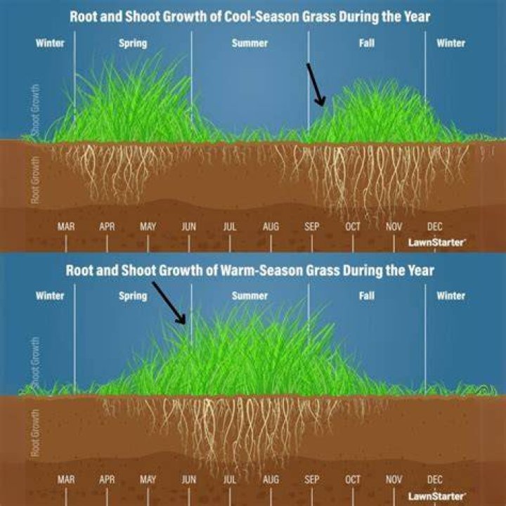 How does grass grow at Minute Maid Park?