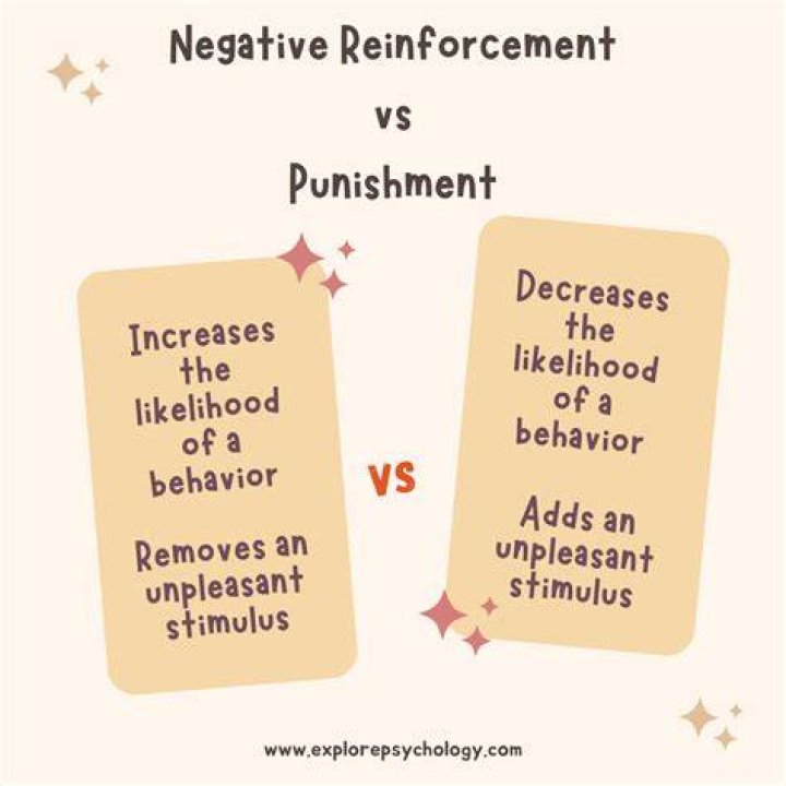 How does punishment differ from negative reinforcement quizlet?