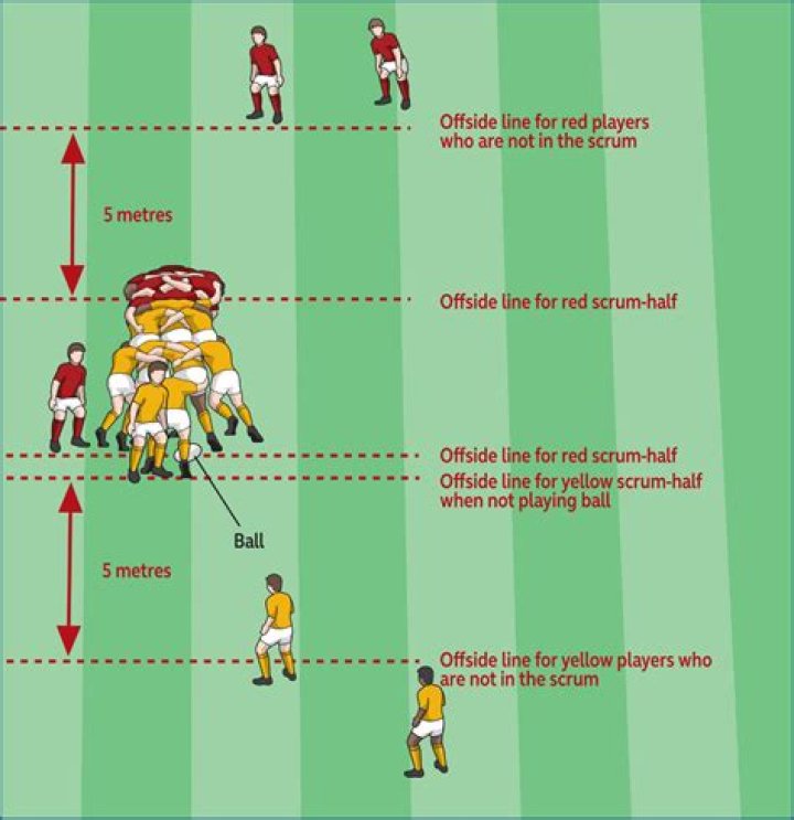 How does rugby 7s work?