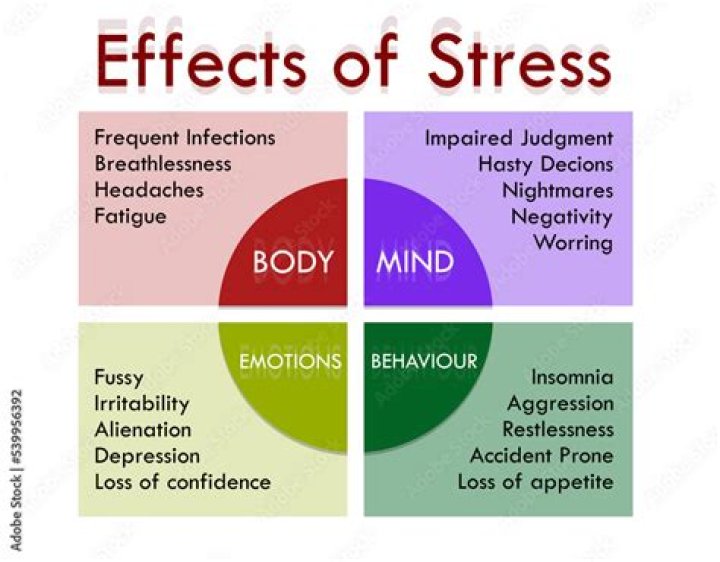 How does stress affect your brain?