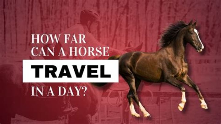 How far can a horse travel in 8 hours?