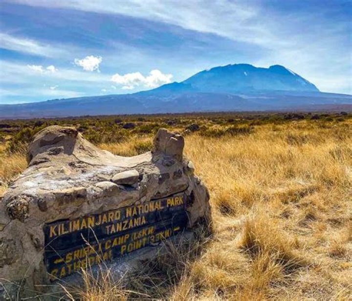 How far do you walk each day on Kilimanjaro?