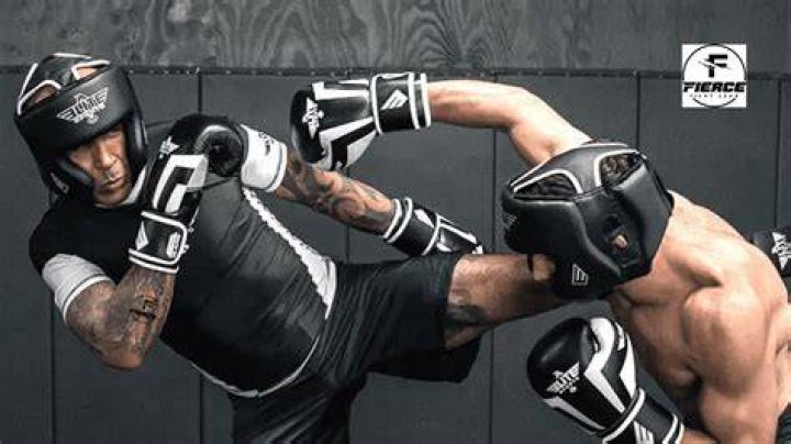 How fast can boxers run?