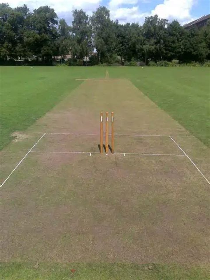 How fast is a cricket pitch?