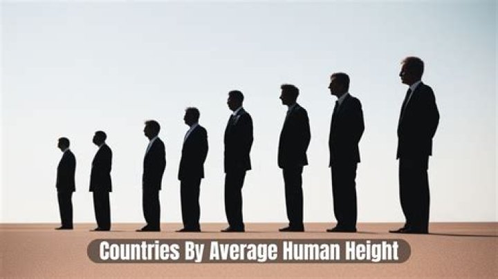 How fast is the average human?