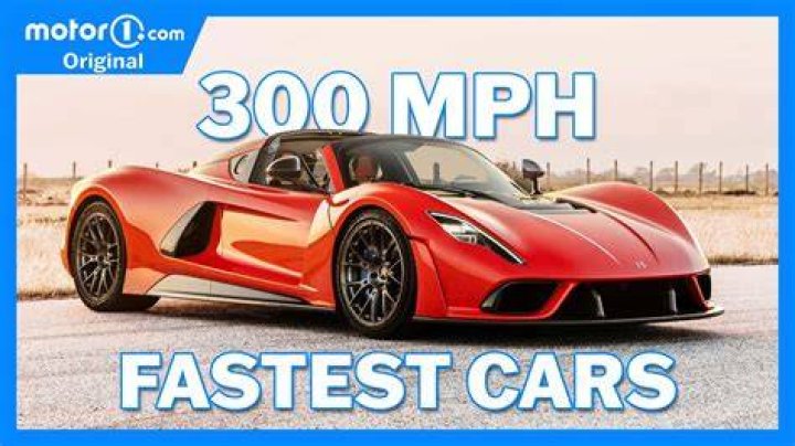 How fast is the fastest buffalo?
