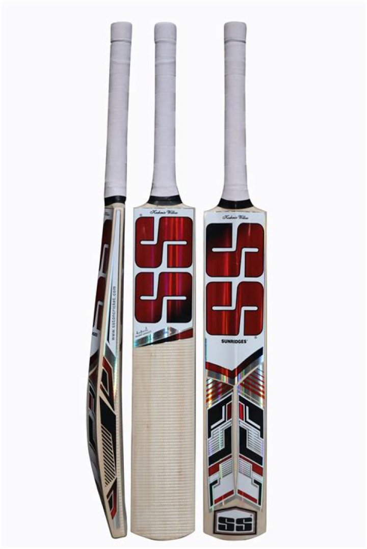 How heavy is Chris Gayle's cricket bat?