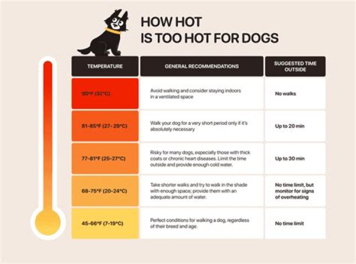 How hot is too hot for tomatoes?