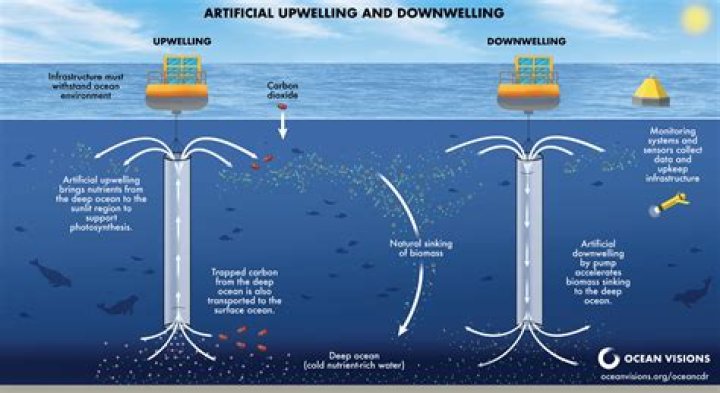 How is downwelling important to marine life?