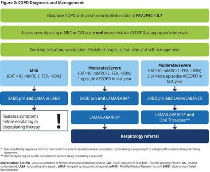 How is mild COPD treated?