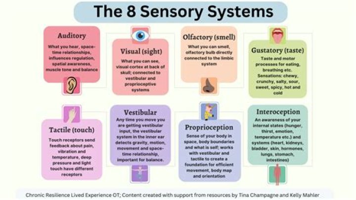 How is the use of sensory details in a written text useful to a reader?