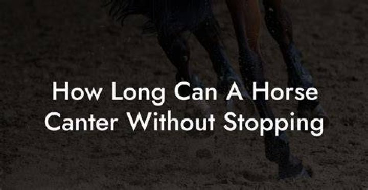 How long can a horse canter without stopping?