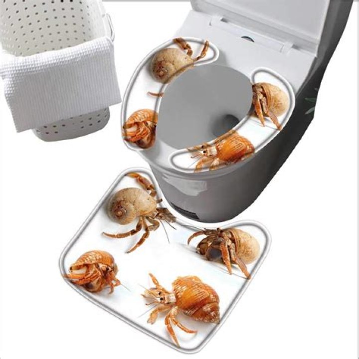 How long can crabs live on a toilet seat?