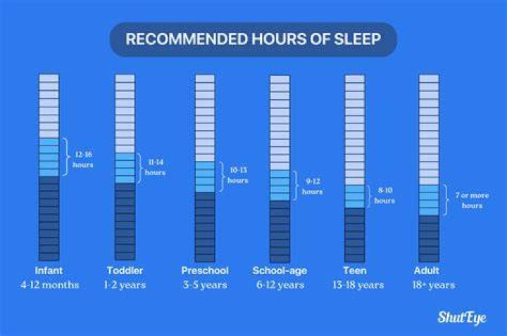 How long do bats sleep for?