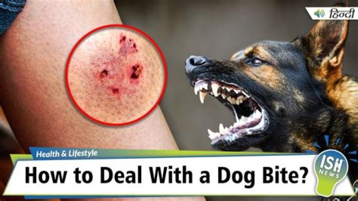 How long do dog bites stay swollen?