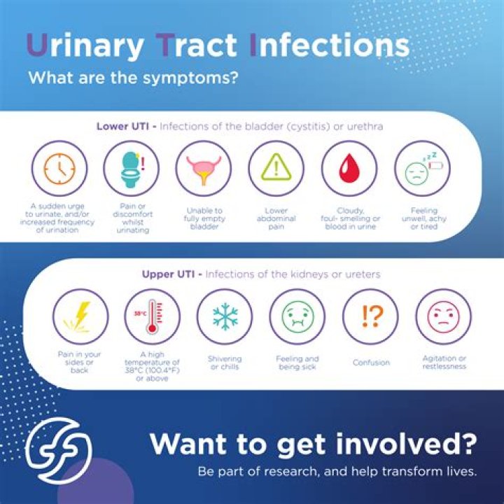 How long do UTI symptoms take to show up?