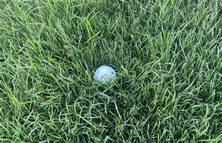 How long do you have to find a lost golf ball?