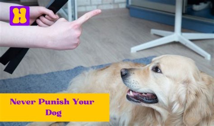 How long do you punish your dog?