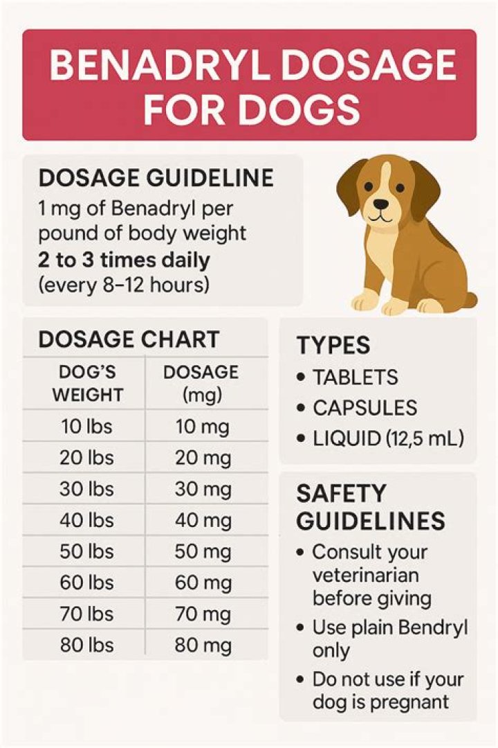 How long does Benadryl last in a dog?