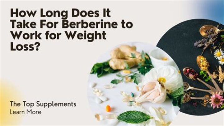 How long does berberine take to work?