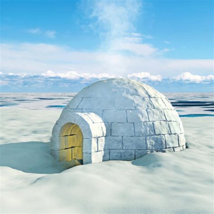 How long does it take an experienced igloo builder to construct an igloo?
