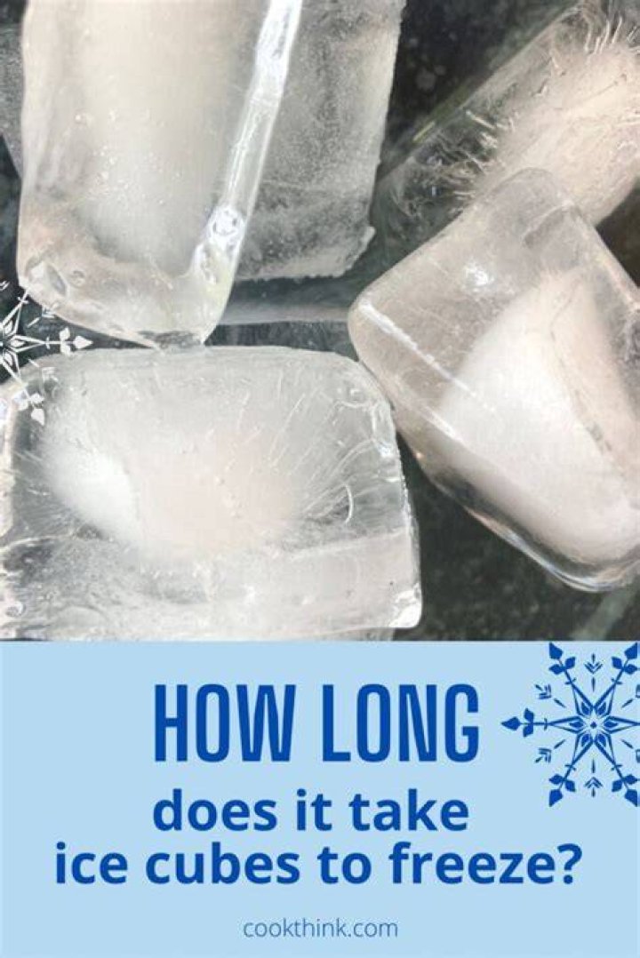 How long does it take for a cat to freeze to death?