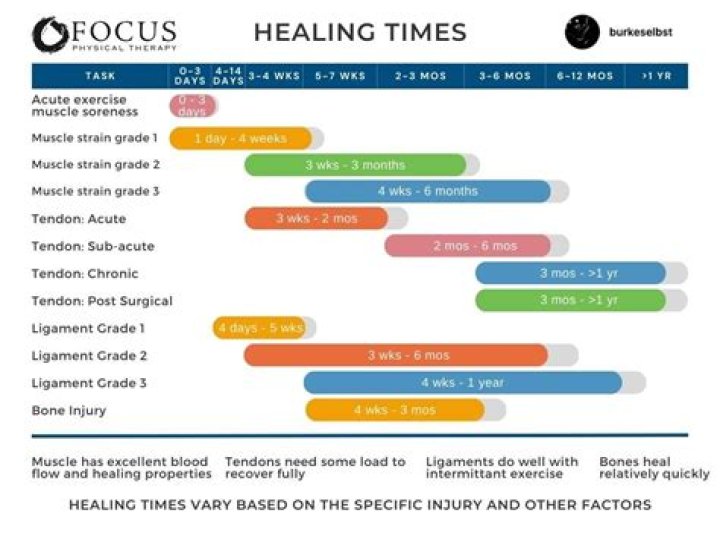 How long does it take for ligaments to heal?