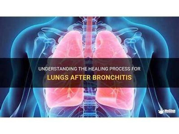 How long does it take for lungs to repair themselves?