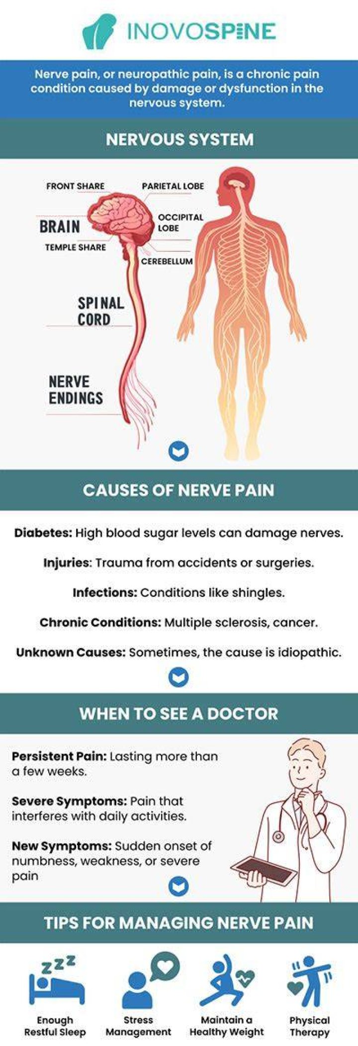 How long does it take for nerves to regenerate?