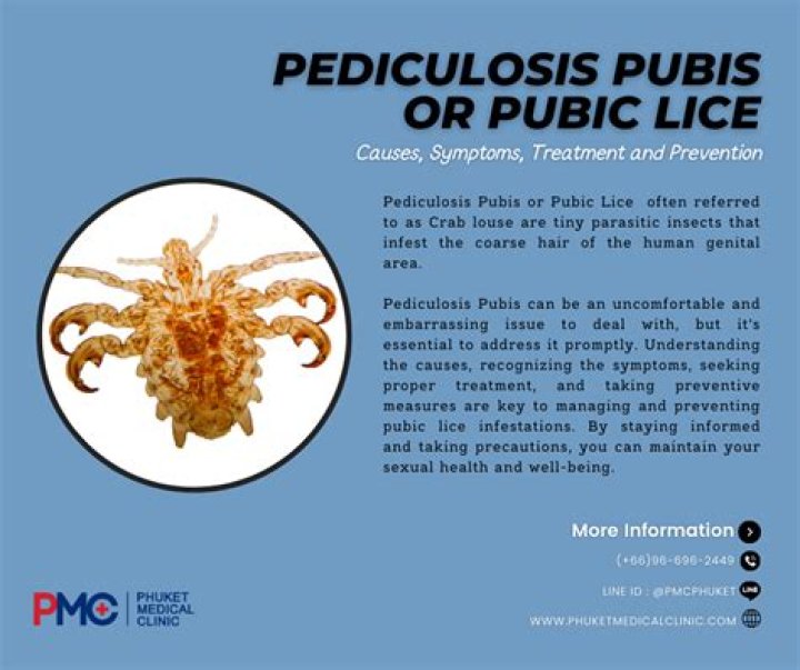 How long does it take for pubic lice to show up?
