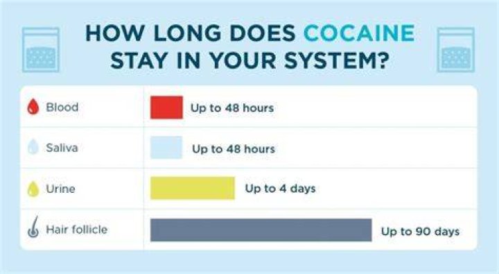 How long does it take for quinine to leave your body?
