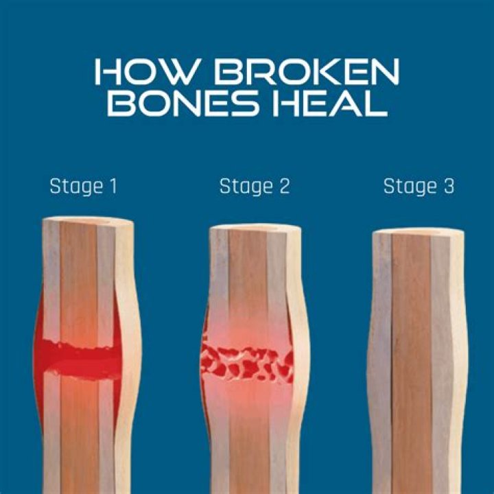 How long does it take to break in a AXE bat?