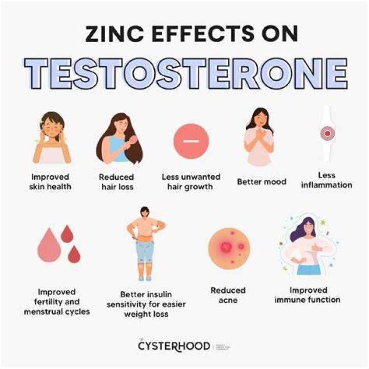 How long does it take zinc to increase testosterone?