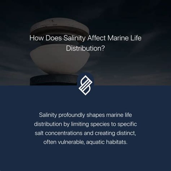 How long does marine oil last?