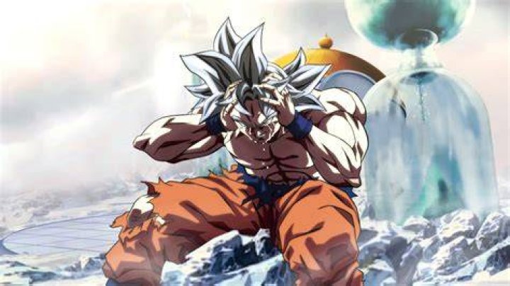 How long has Goku spent in the time chamber?