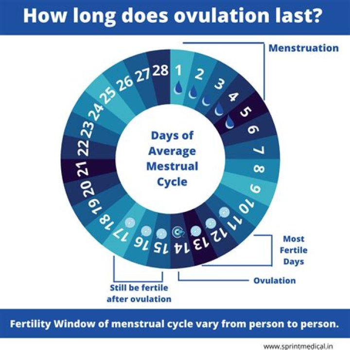 How long is the sensitive period?
