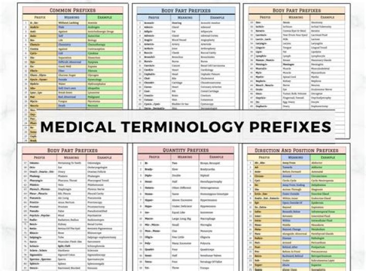 How long learn medical terminology?