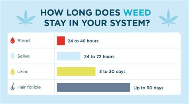 How long should I stay in autophagy?