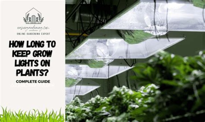 How long should you leave a plant light on?