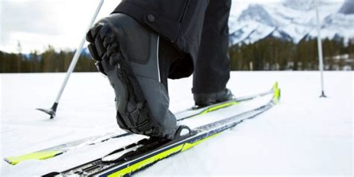 How long should your cross-country skis be?