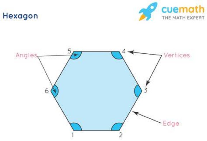 How many angles does a hexagon have?